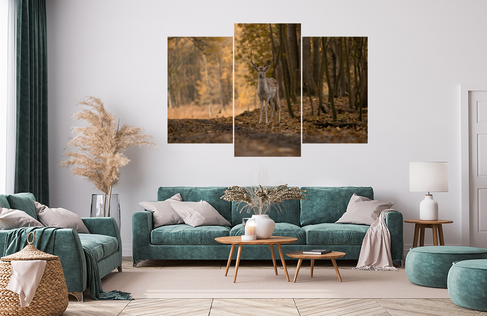 Daněk u lesní cesty obrázek 1