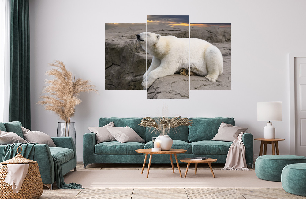 Lední medvěd obrázek 1