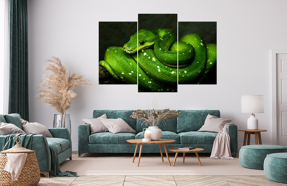 Krajta zelená obrázek 1