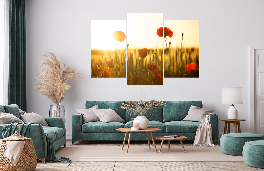 Vlčí mák obrázek 1