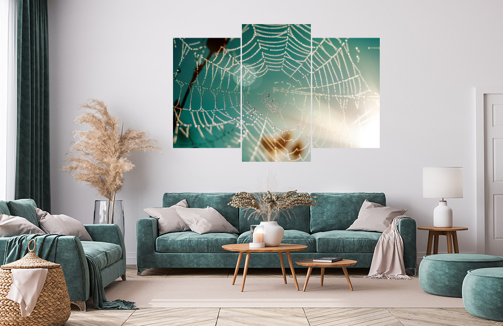 Pavoučí sítě obrázek 1