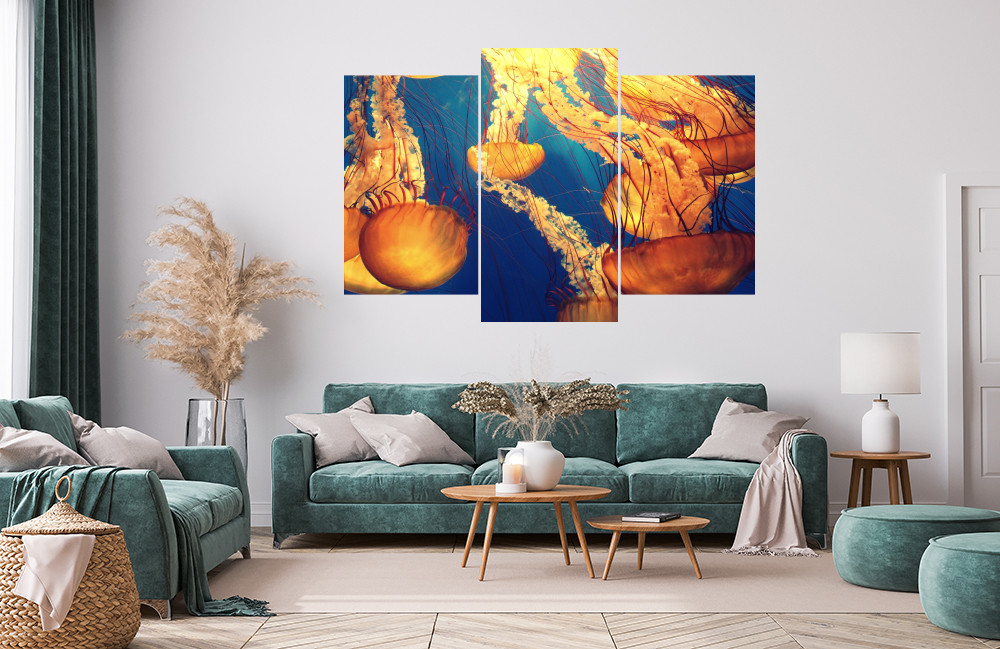 Medůzy 2 obrázek 1