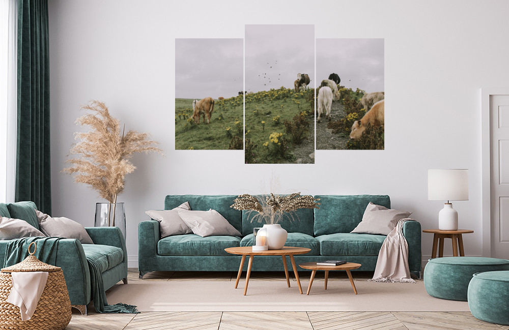 Kravičky na louce obrázek 1