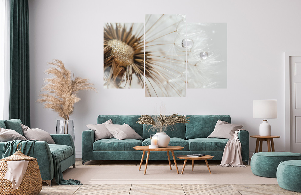 Detail pampelišky obrázek 1